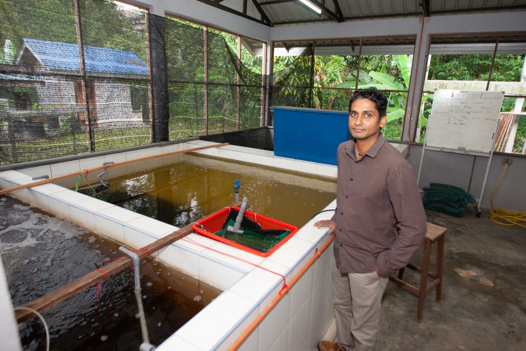 Improving marine life growth with microbubbles | um+