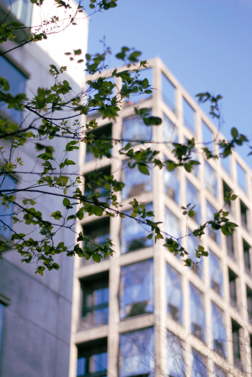 a tall building with lots of windows next to a tree