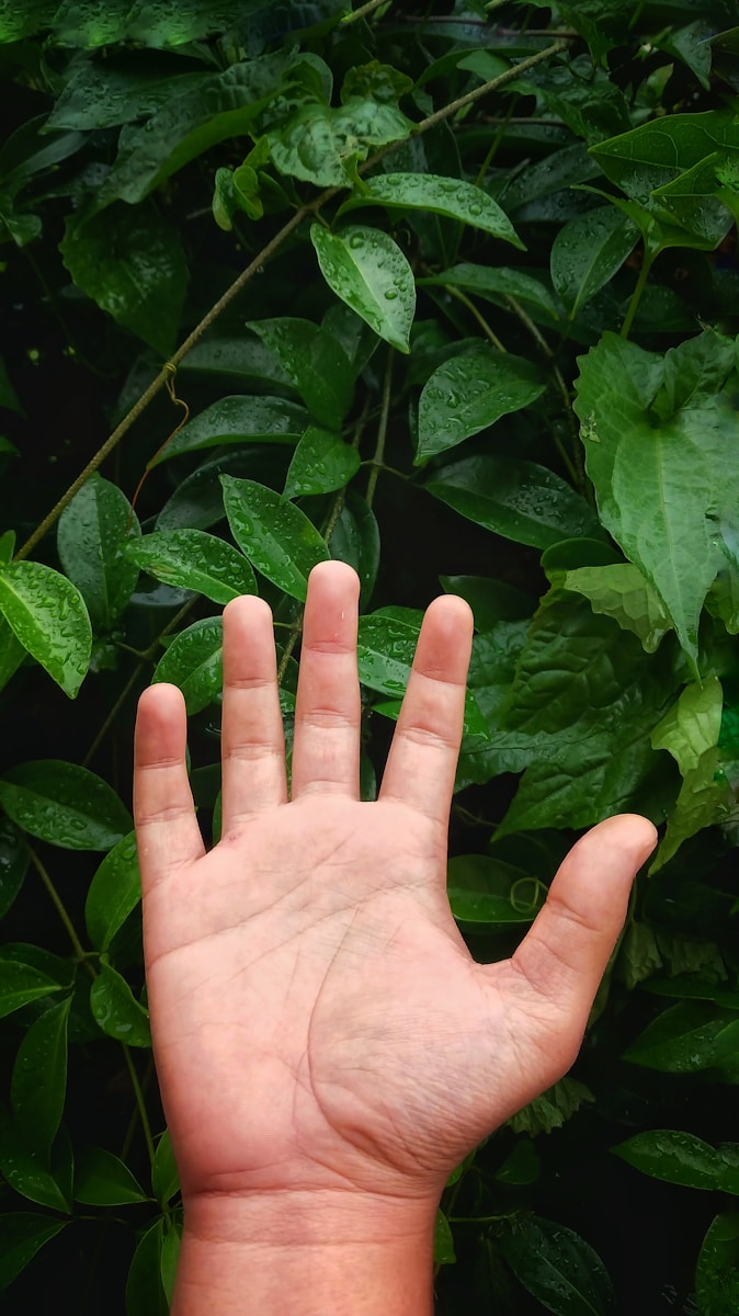 a person's hand reaching up into the air