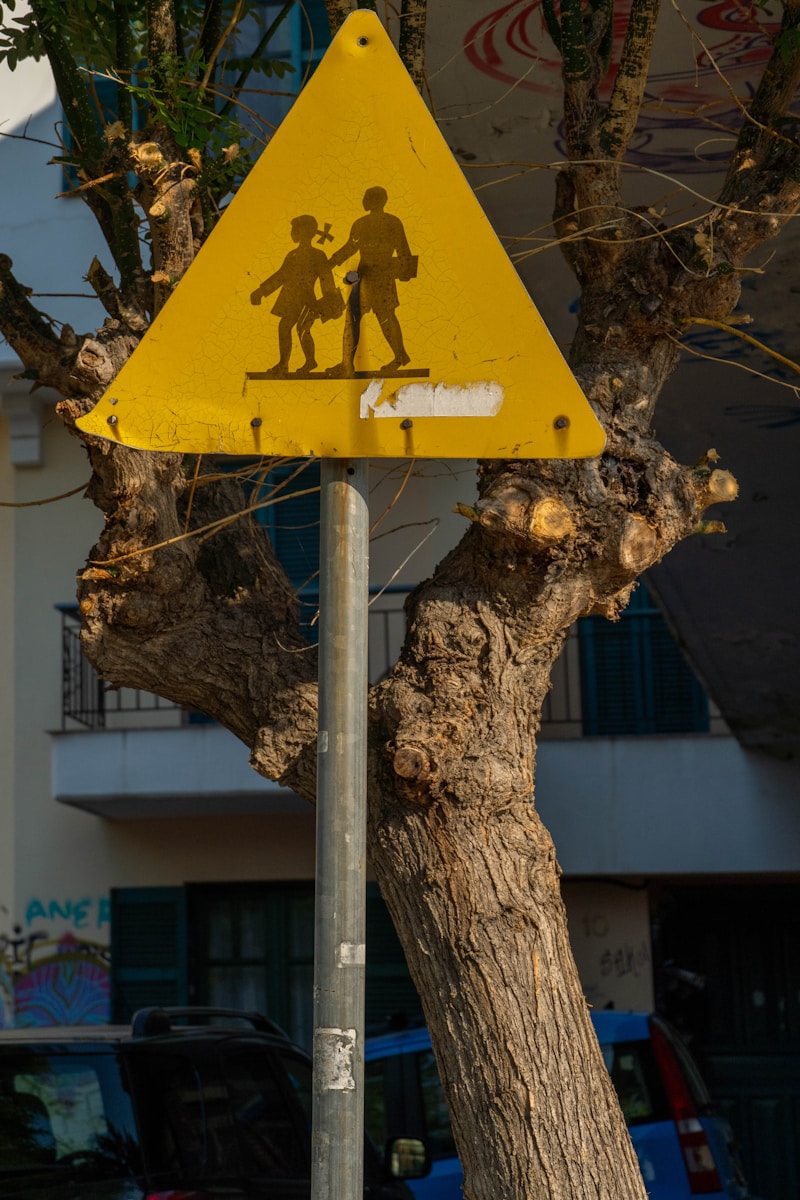 Photo by Andrey Nuraliev a yellow pedestrian crossing sign sitting on the side of a road