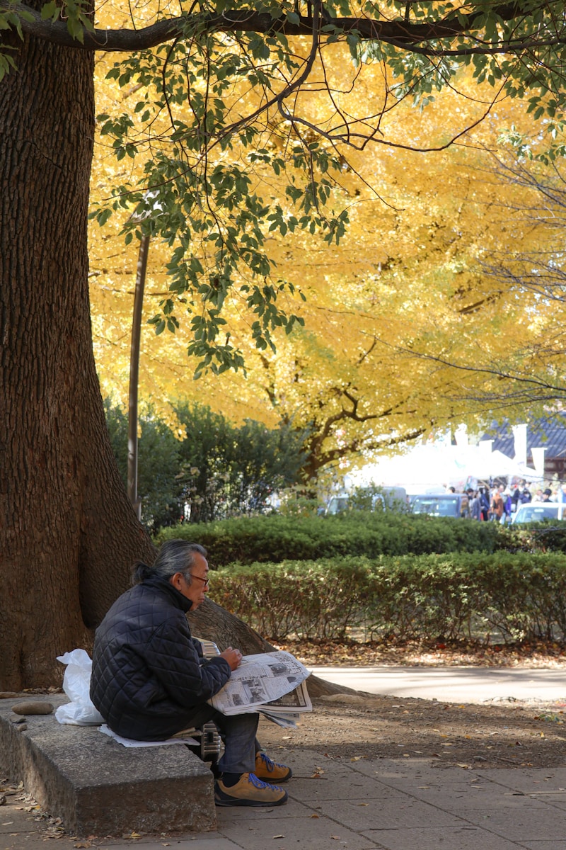 Elderly man reads newspaper under autumn tree