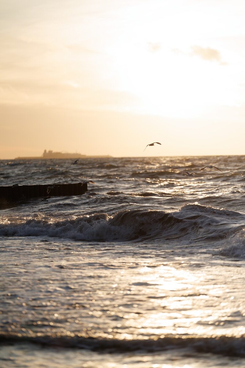Waves crash on the shore with a bird flying overhead.