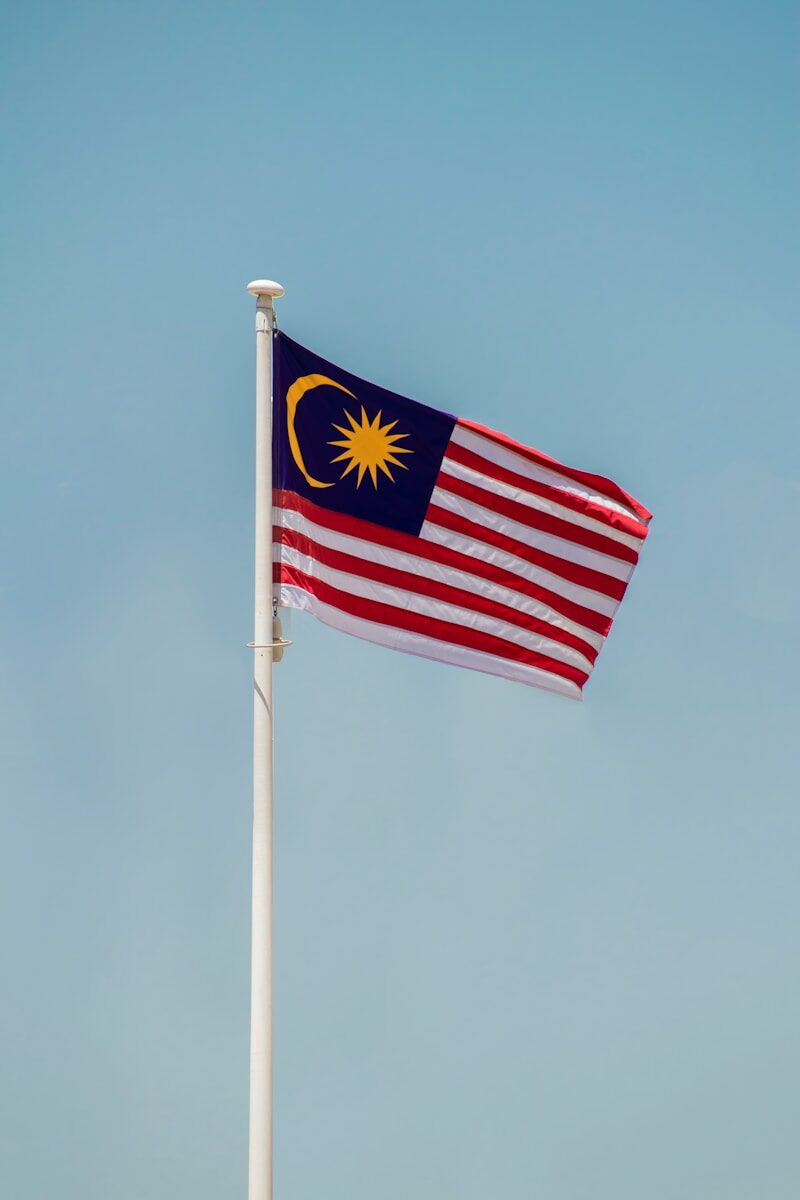 a flag on a pole